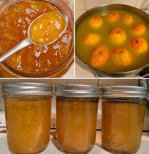 Essa geleia de laranja com cenoura vai te surpreender – super fácil e irresistível!